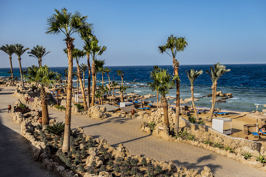 Фото: Shutterstock