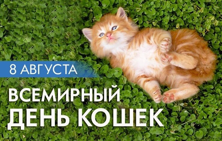 Ну как можно устоять перед таким пушистиком )))
