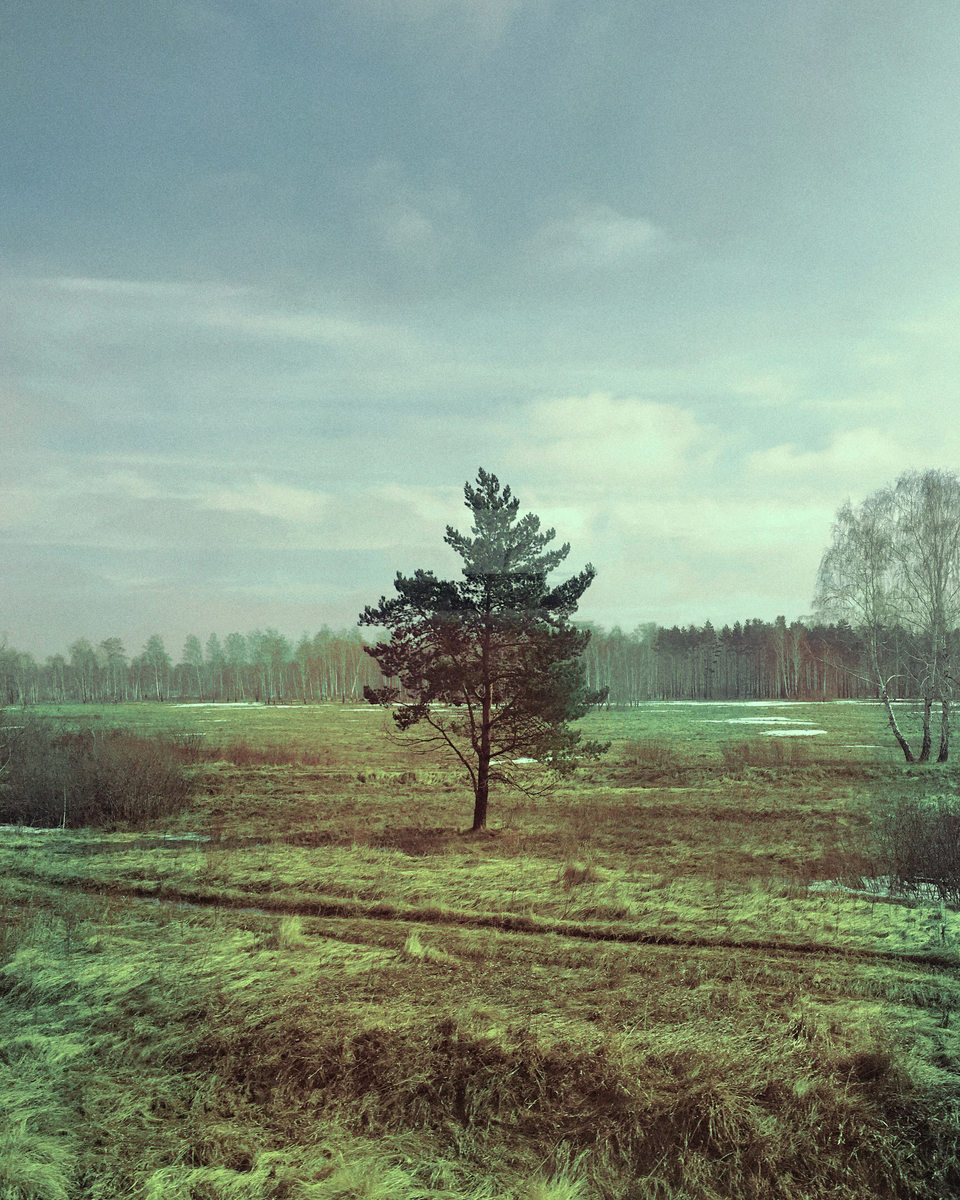 Автор: Владислав Апостол