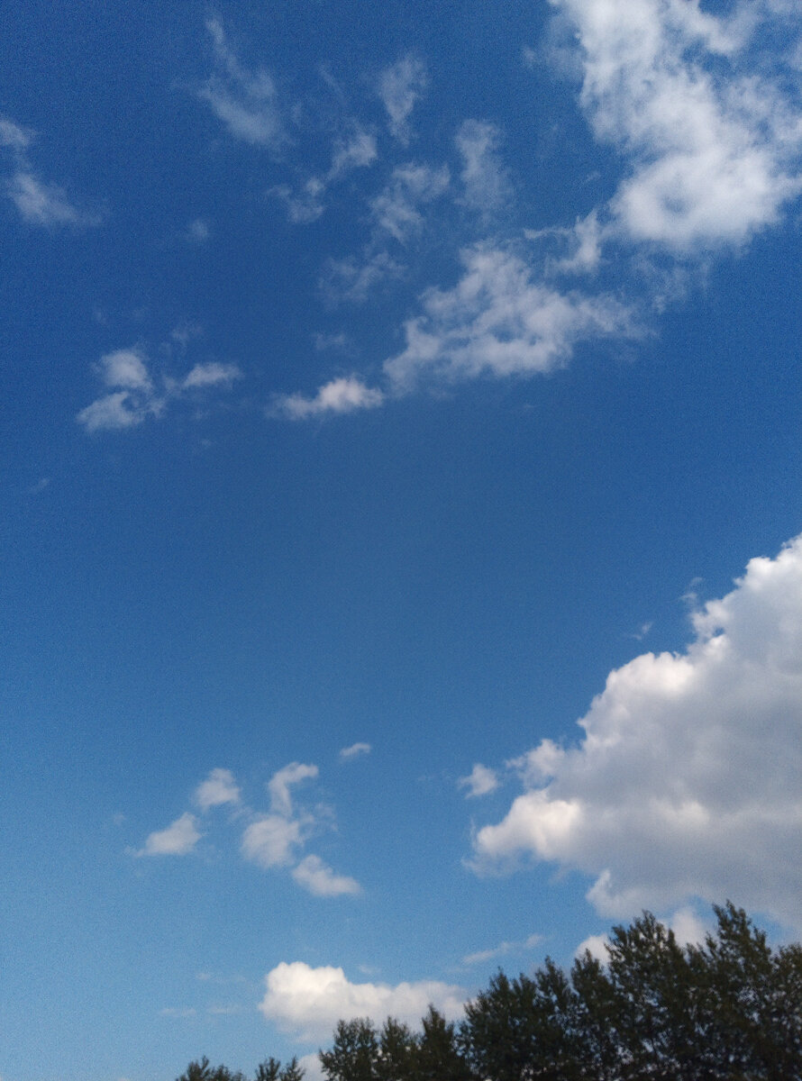 Чистого вам неба. Фото автора