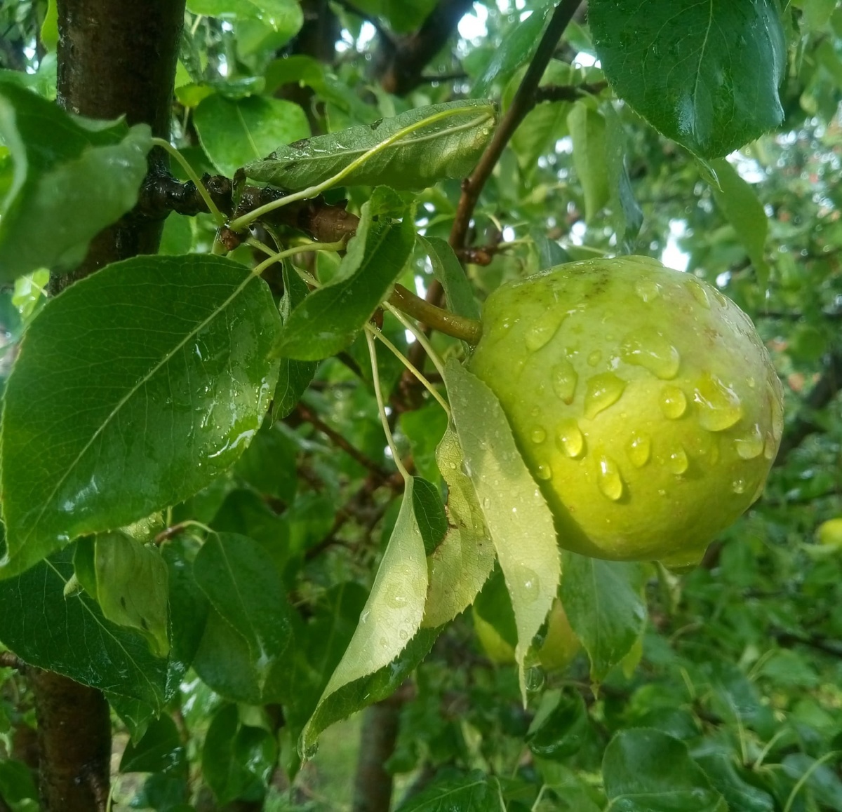 Фото Ларисы Рыковой