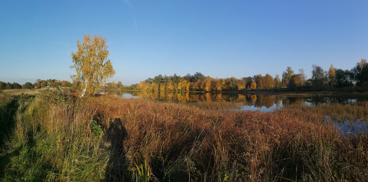 Местные виды