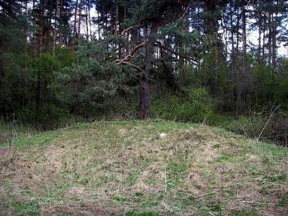 фото Яндекс