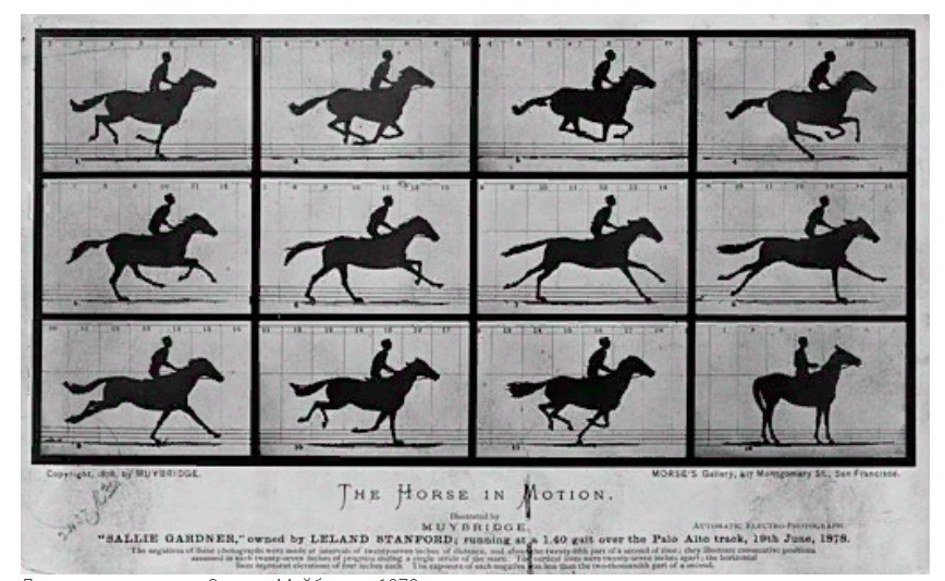 Все четыре копыта лошади оторвались от земли на полном скаку