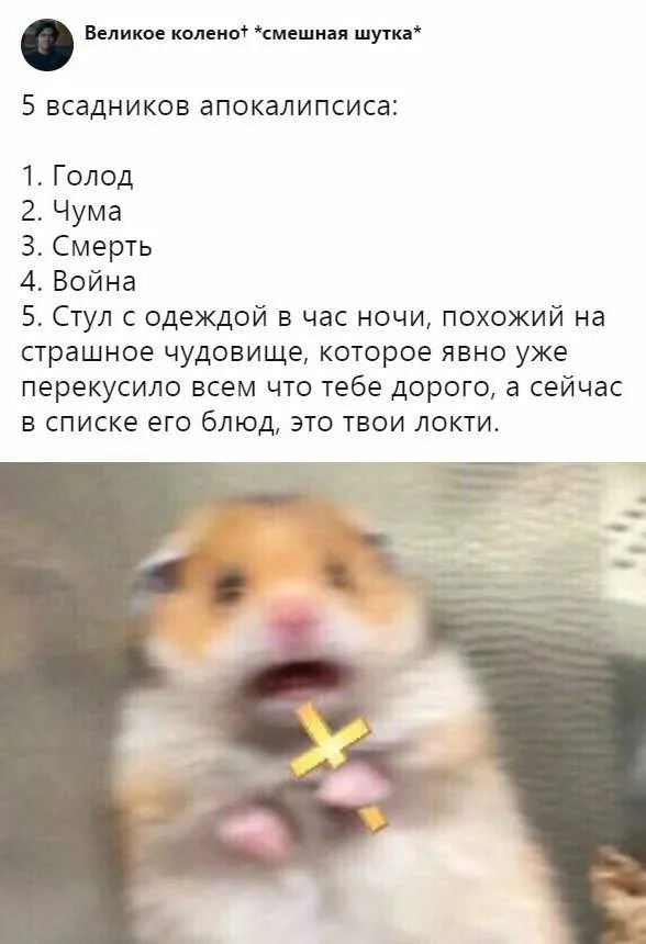 Хомяк в парике