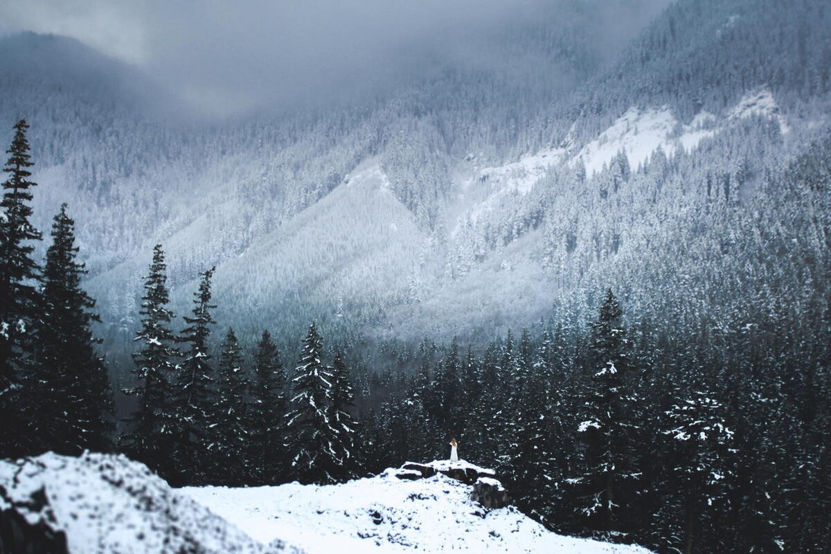 Снежные горы лес