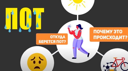 Почему мы потеем? Откуда берется пот и почему он имеет сильный запах