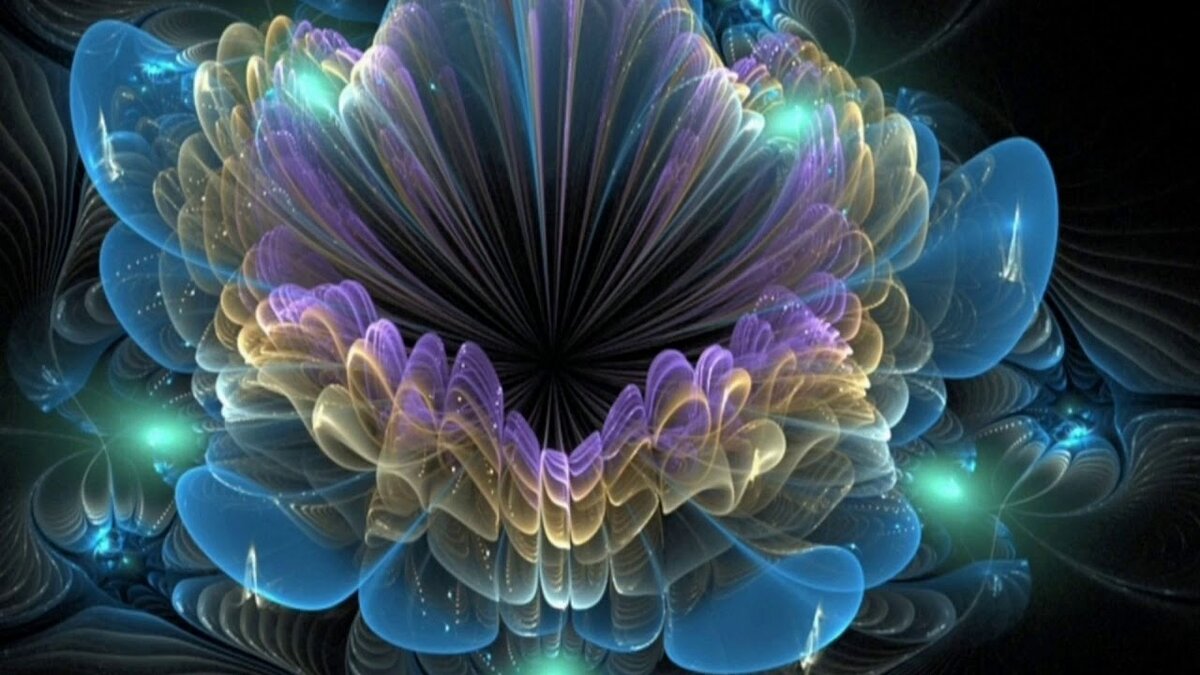 Картинка из интернета