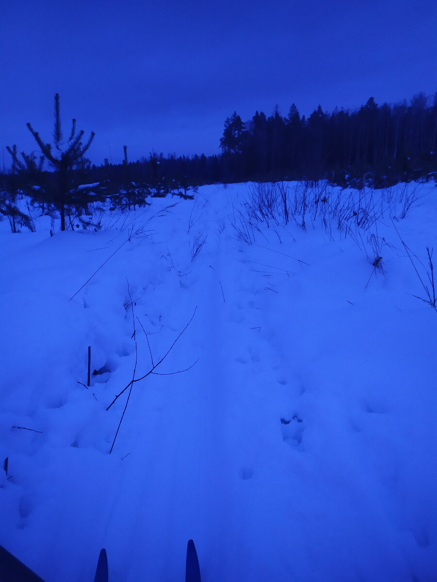 Почему-то все синее, хотя солнце только садится