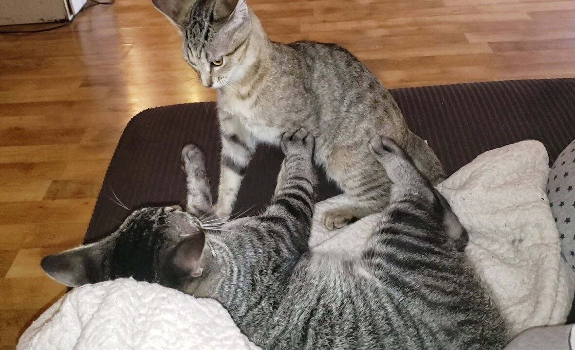 Фото из Интернета.