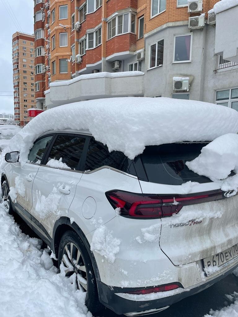 Прошла первая снежная ночь