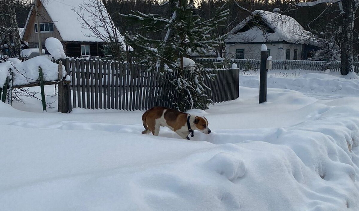 Фото: СамолётЪ