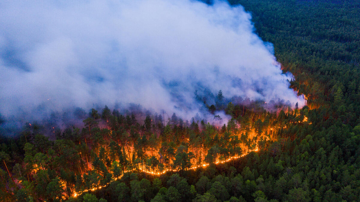 https://www.moscowtimes.ru/2020/07/27/foto-masshtabnie-lesnie-pozhari-ohvatili-sibir-a342