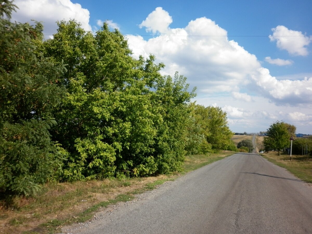 Фото автора канала