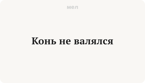 Конь не валялся значение. Поговорка конь не валялся. Значение выражения конь не валялся откуда пошло.