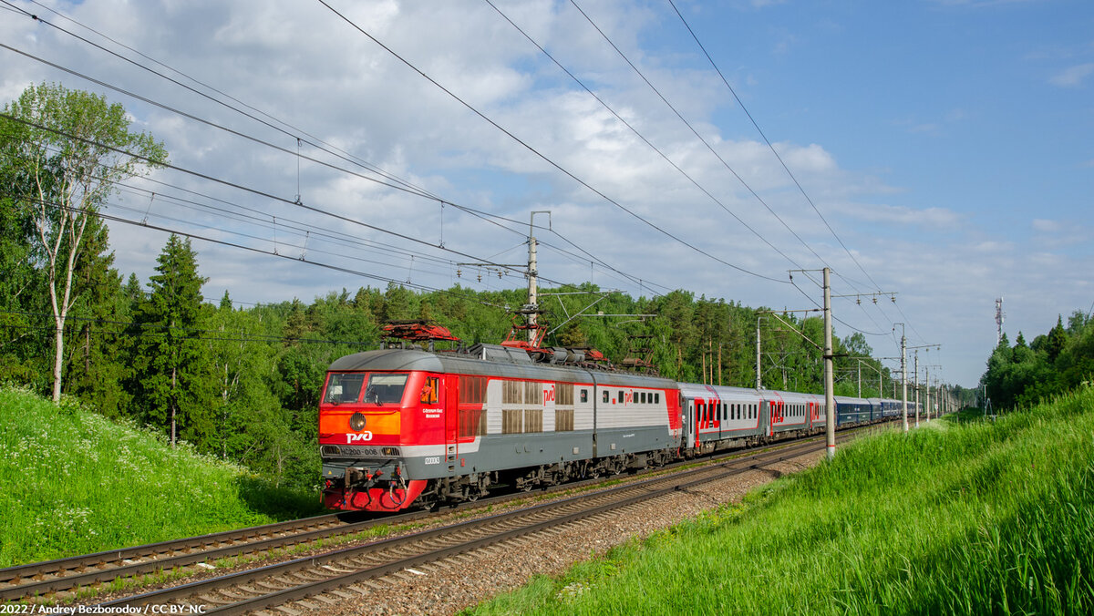 березка подсолнечная электричка