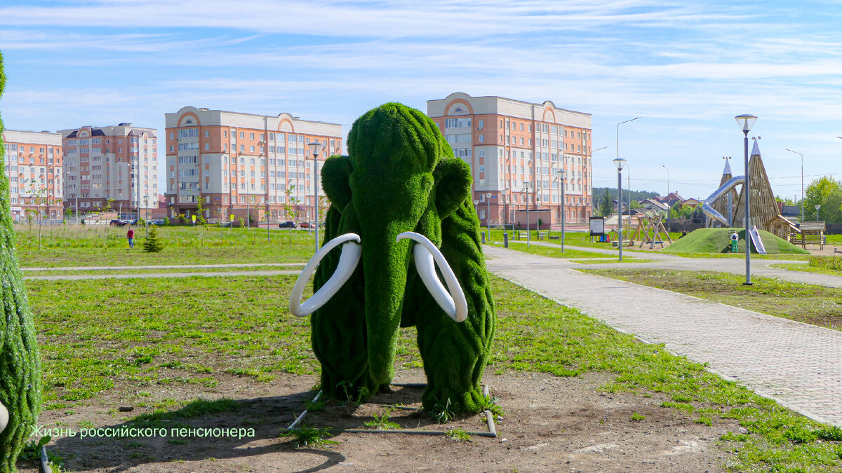 фото принадлежит автору
