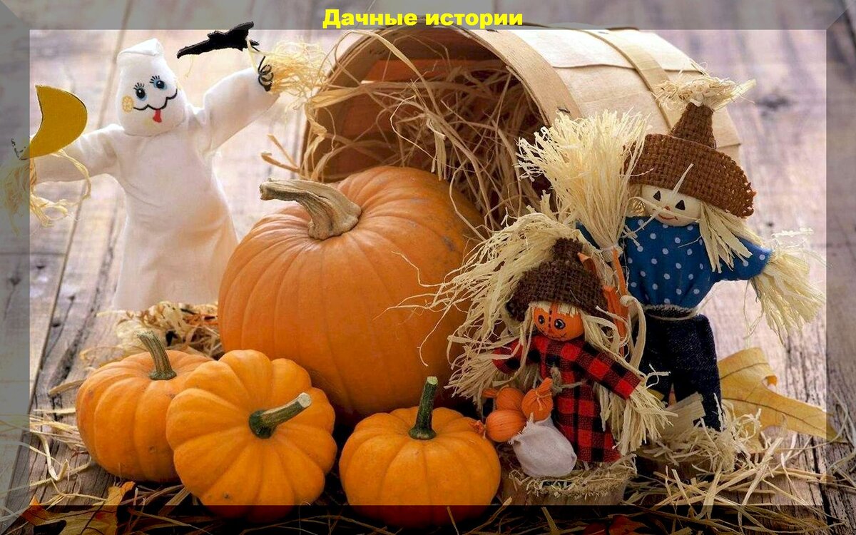 https://vk.com/photo-159774511_457253825