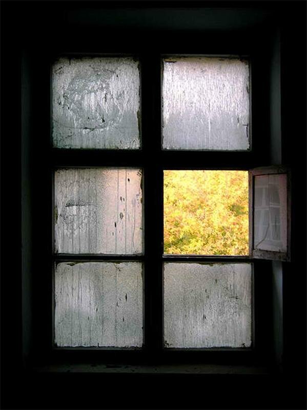 Фото из интернета