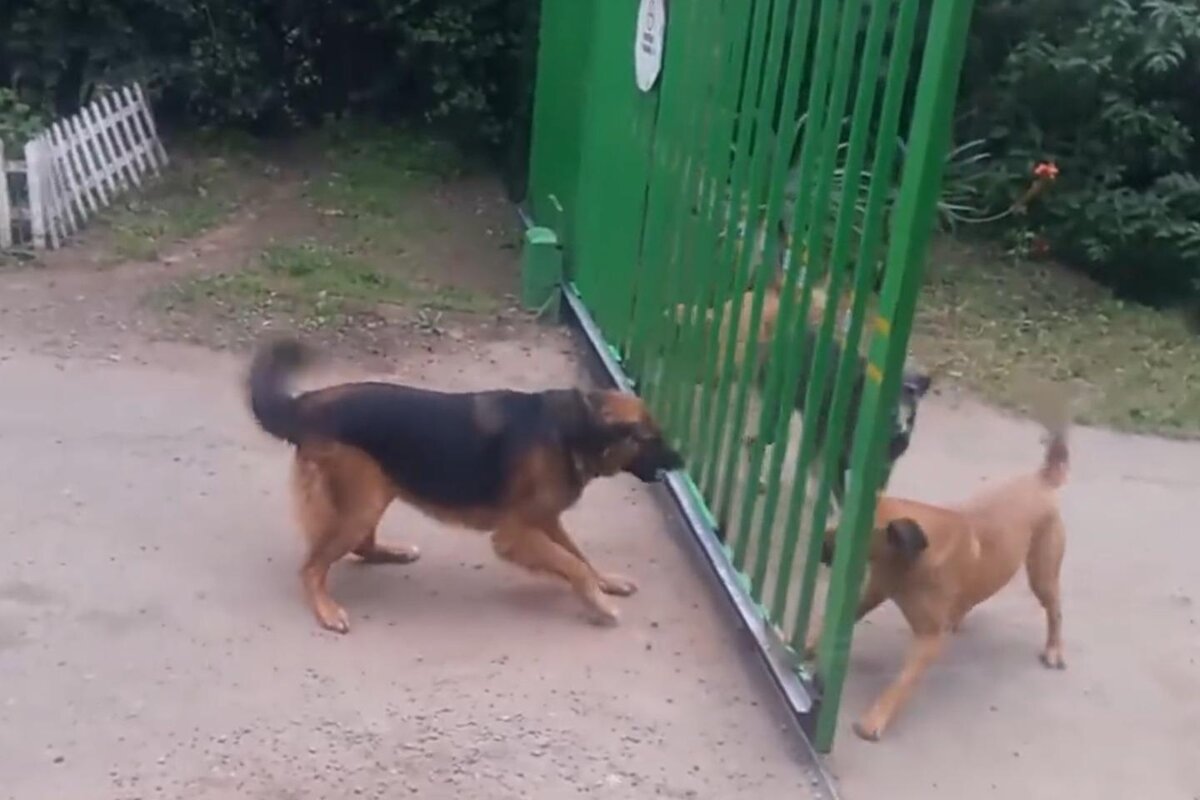 Фото из сети