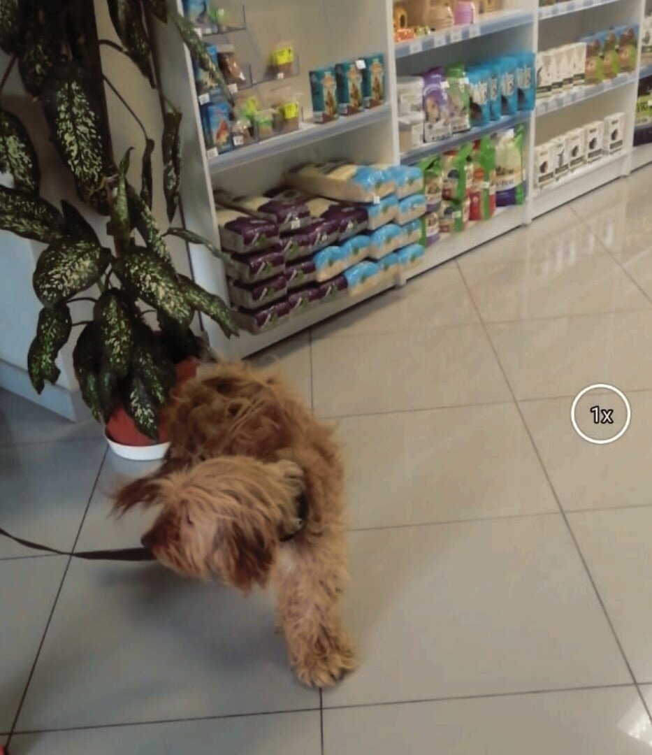 Его будущее надо менять обязательно