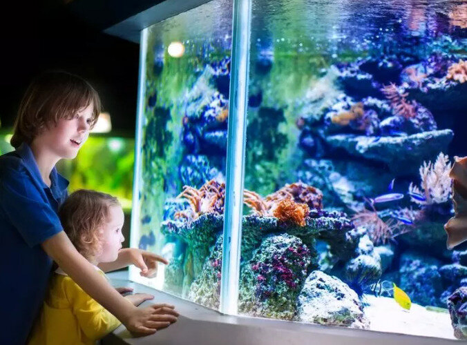 Аквариум и дети