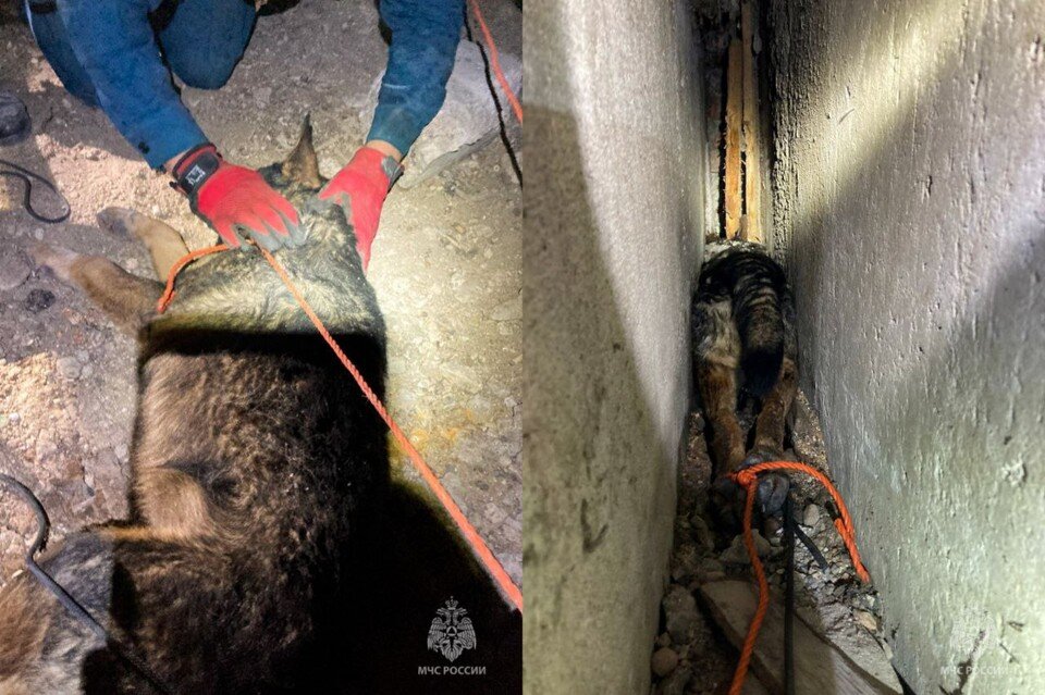     Фото: пресс-служба ГУ МЧС по Севастополю