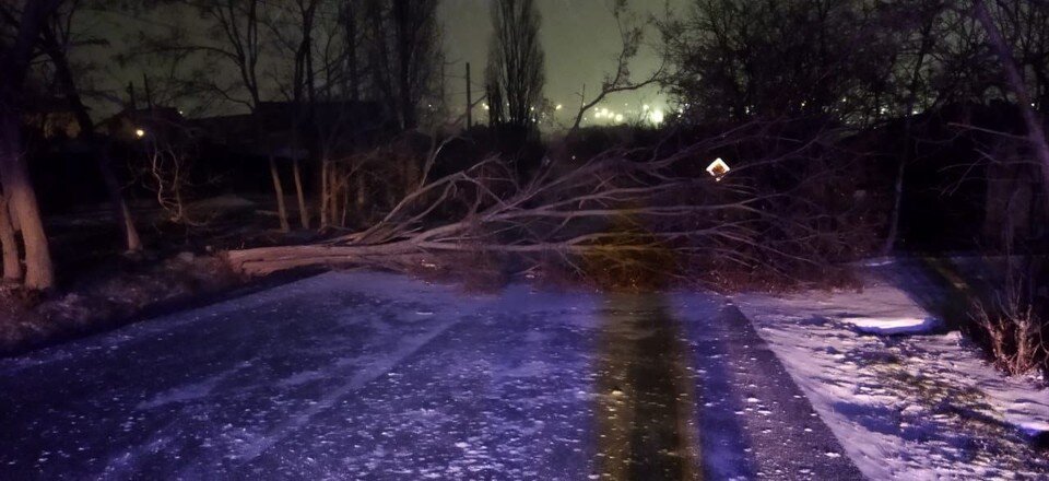     Ветер повалил деревья. Фото: t.me/alekseioderov