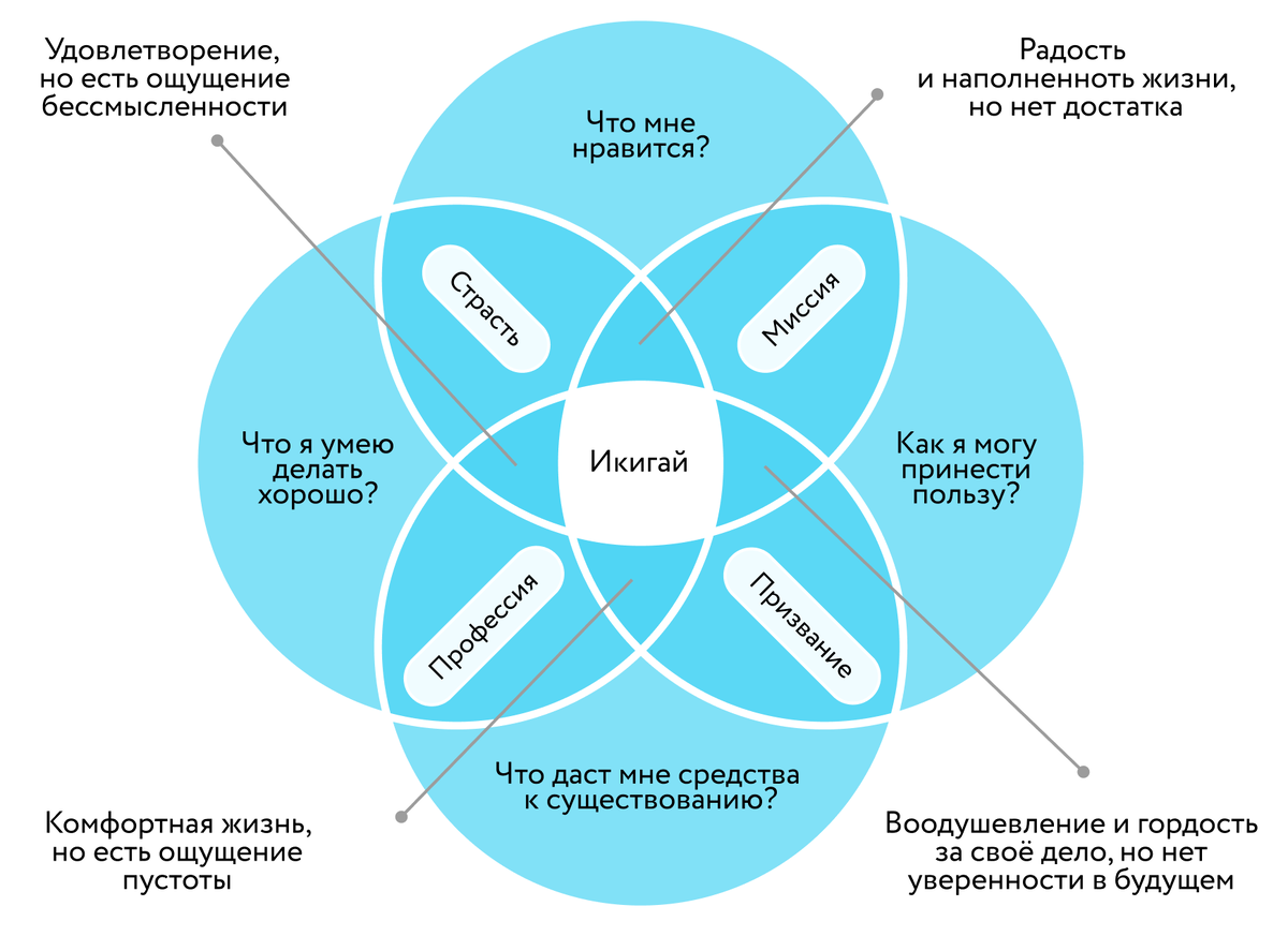 Вариант карьерной диаграммы Икигай 