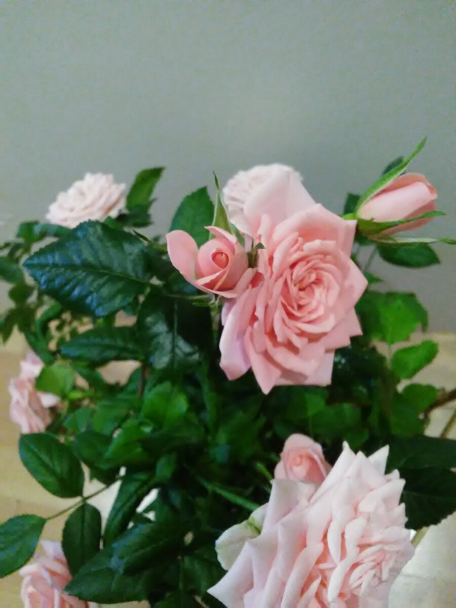 Жаль, что с телефона снимки смазанные. 