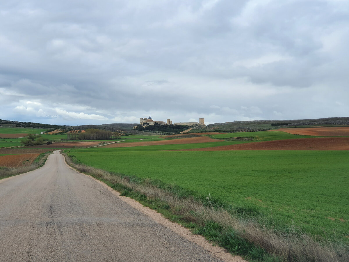 Вокруг поля и гуляет ветер