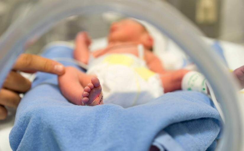 Фото с открытых источников