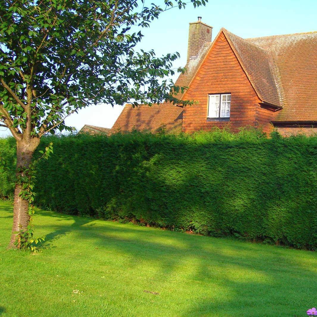 Важно при планировании учитывать все рекомендации