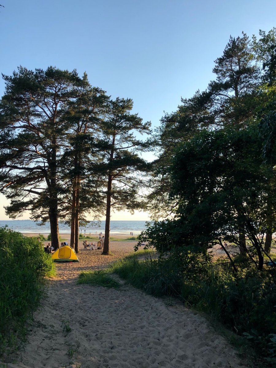 Пляж Сестрорецкий