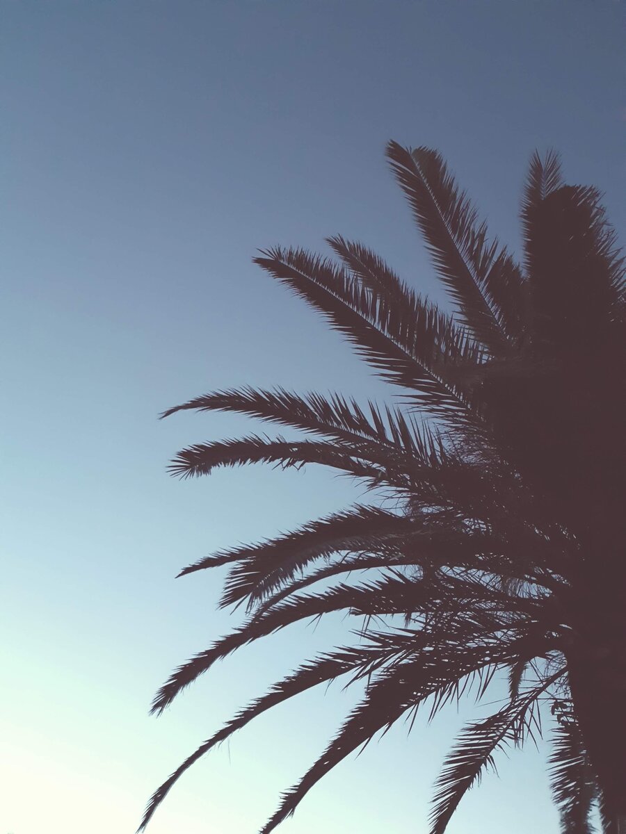 Тогда казалось, что мир не может быть другим. Как же мы ошибались 