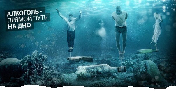 Фото взято из открытого доступа.