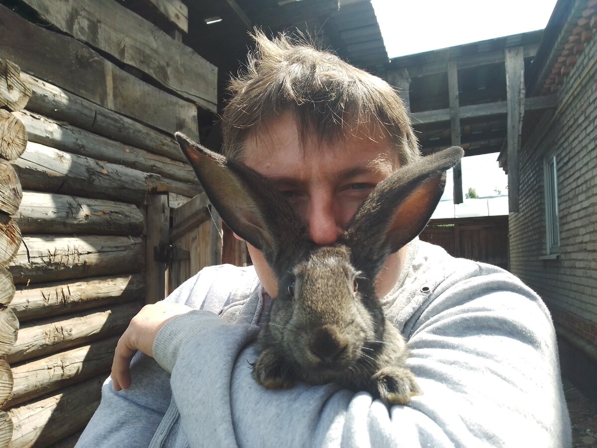 Мои питомцы.