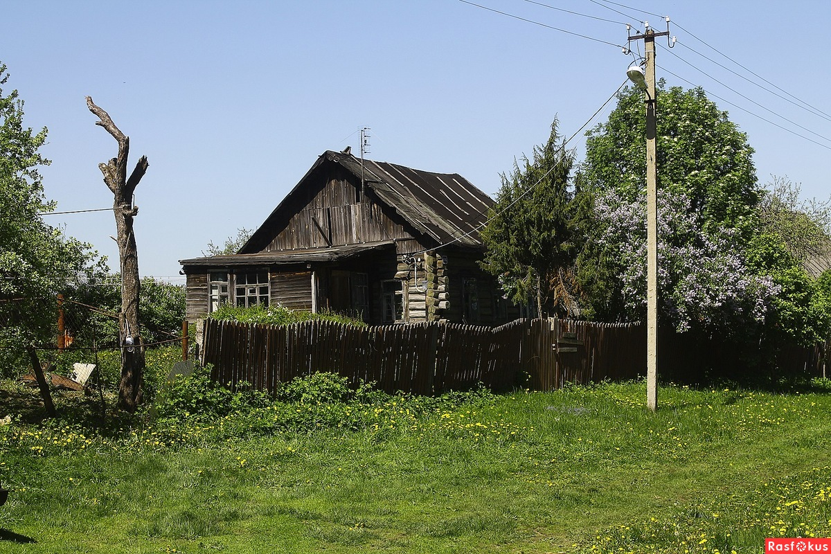 Деревня Лапино (Московская область/Ступинский район). Автор RuslanKhakimov.