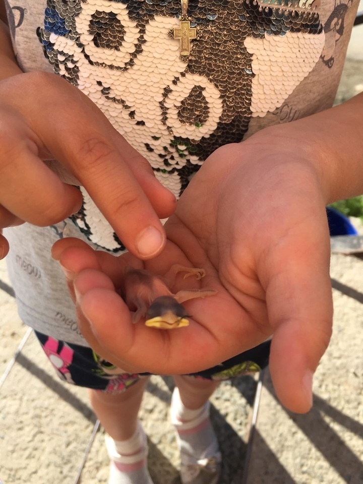 Фото: vk.com Подслушано в Салехарде