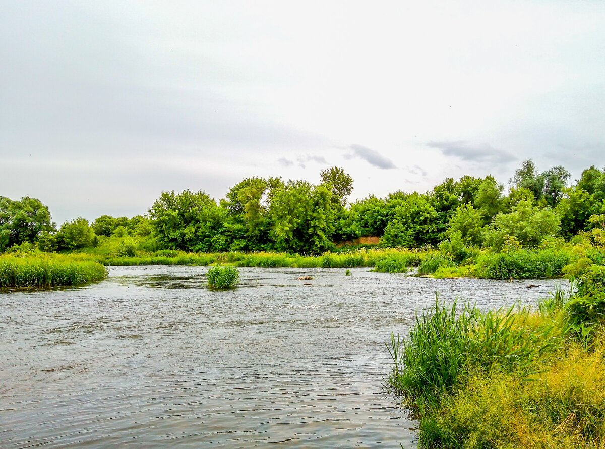 Река красивая меча Липецкая область