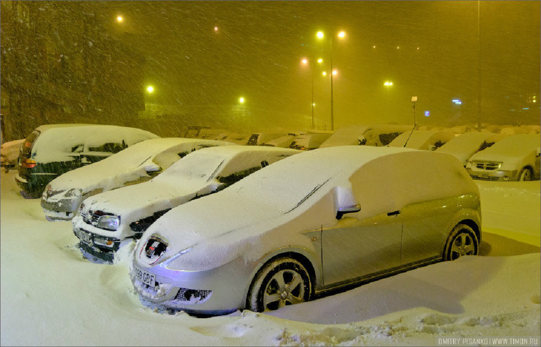 Яндекс картинки