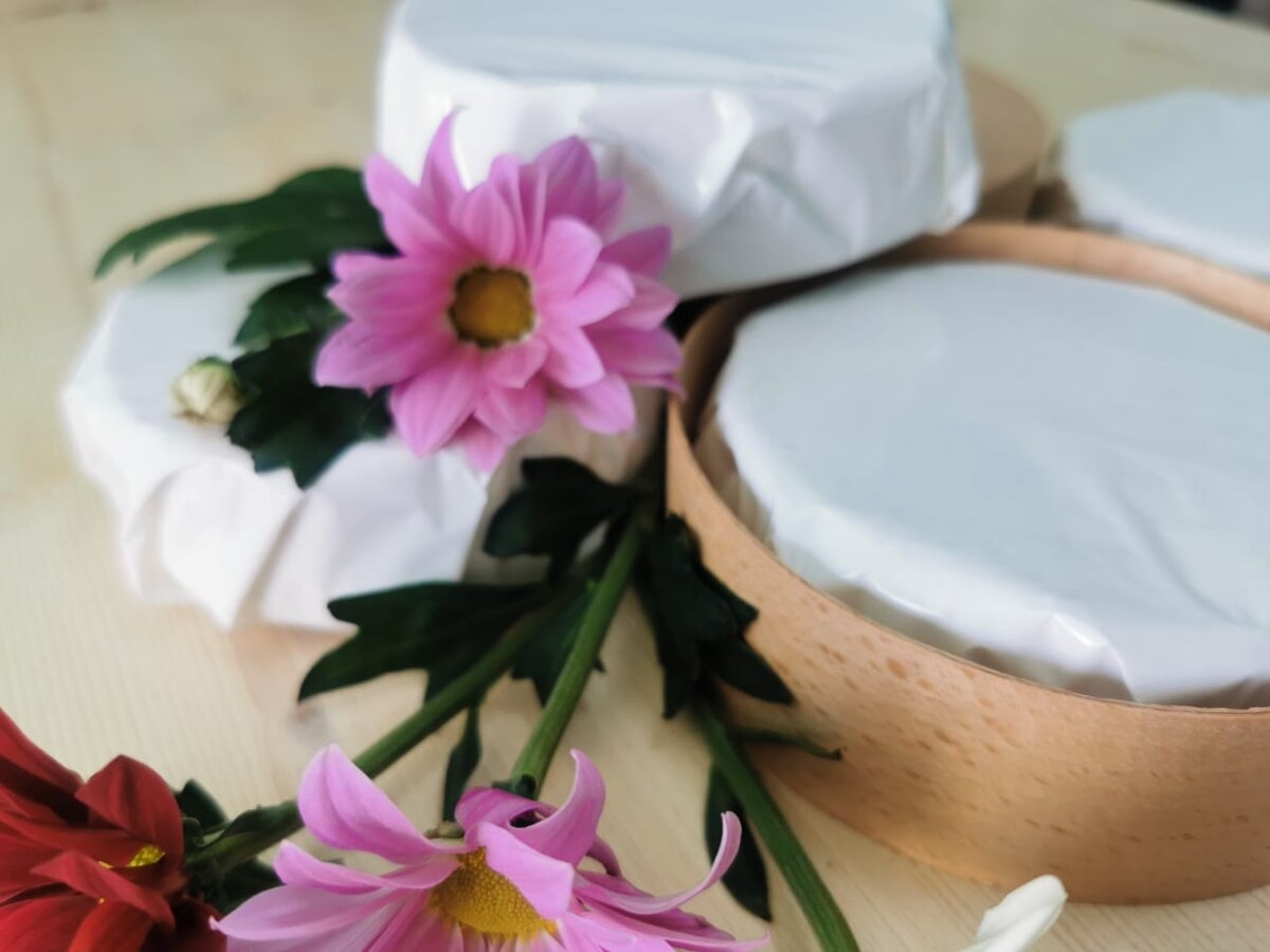 "Сыры Ольги Елисеевой"