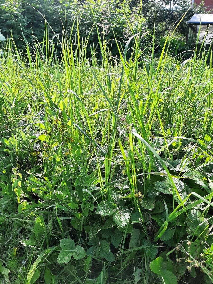 Не люблю открытые пространства