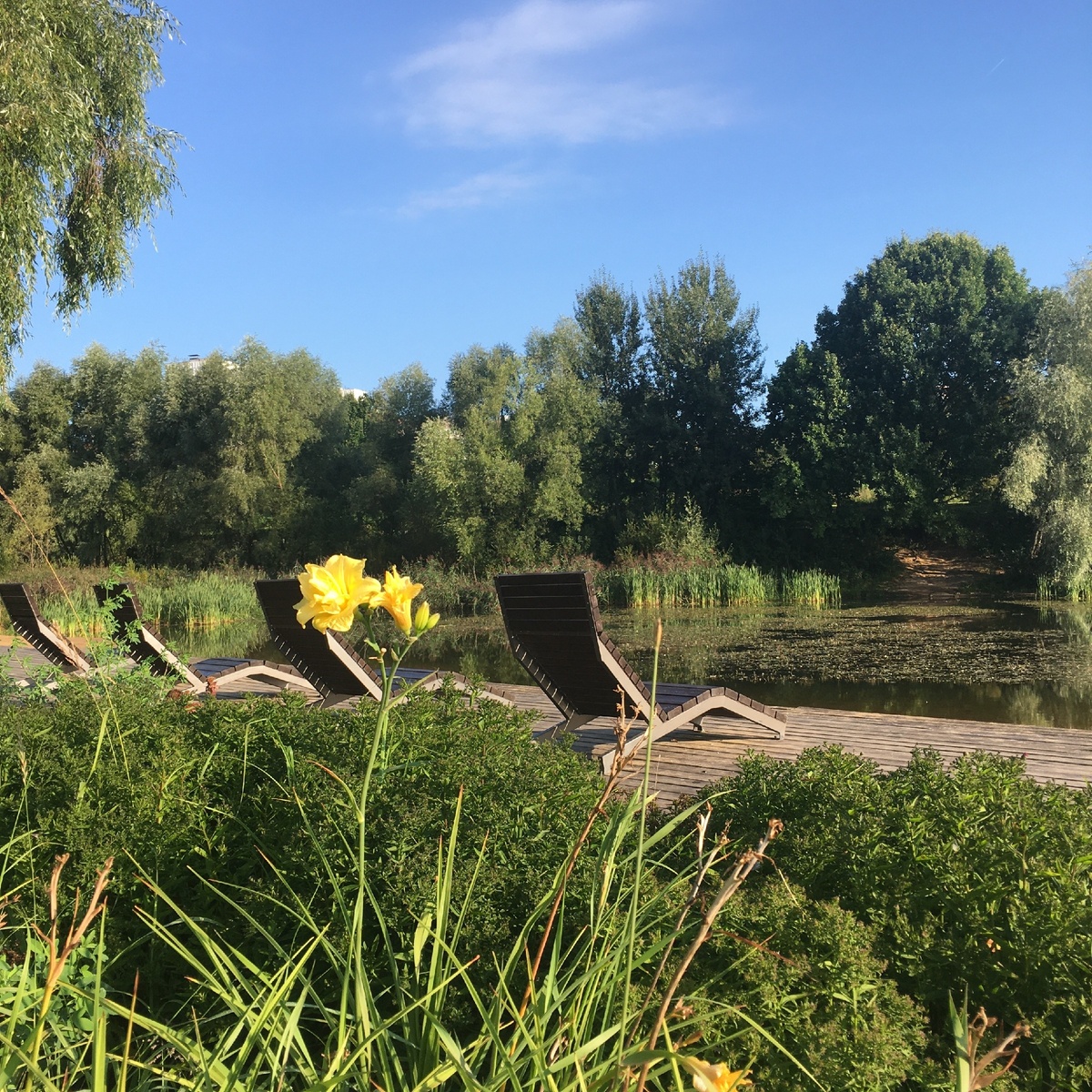 Ландшафтный парк Митино