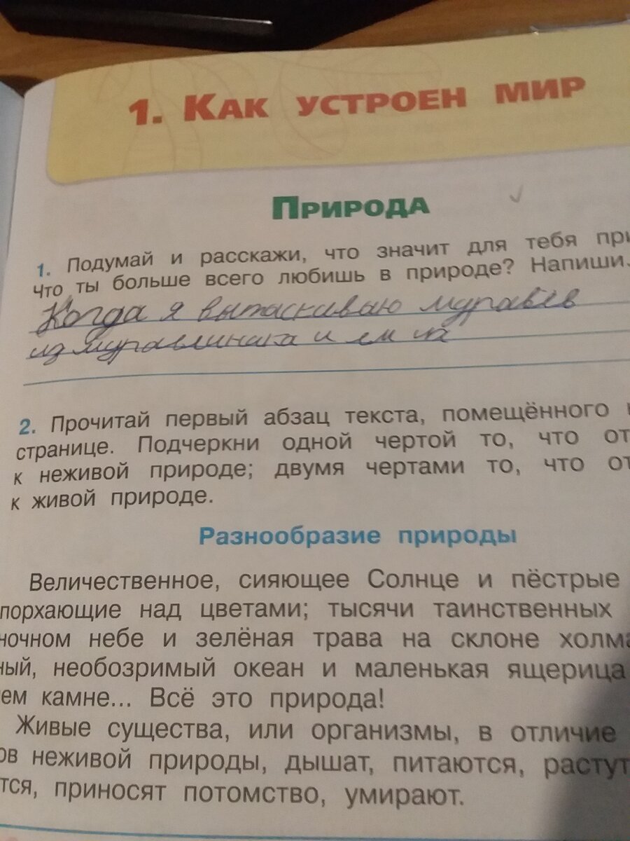 Гениальные ответы школьников в тетрадях – 10 крутых фото | Адекватное  родительство | Дзен