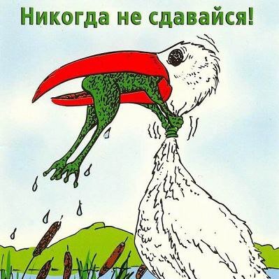 Не сдавайся!