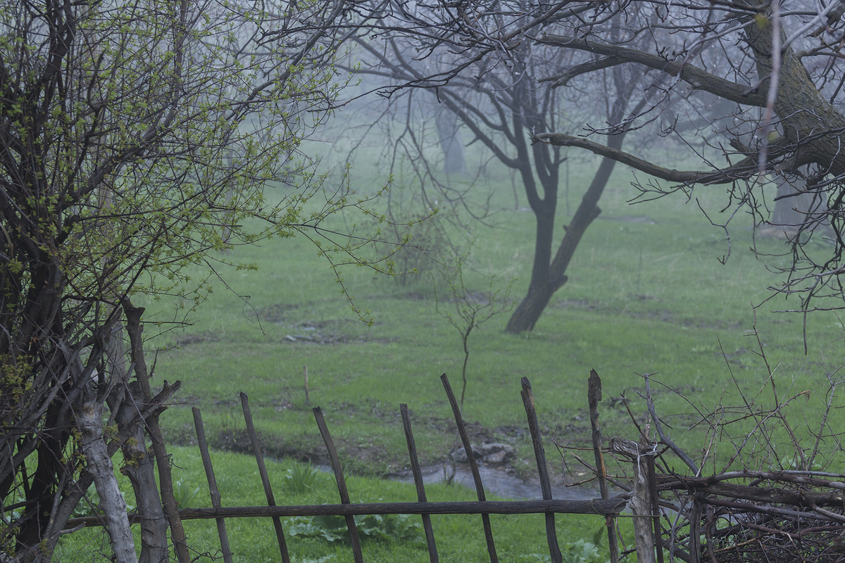 Фото © Рашид Сухов