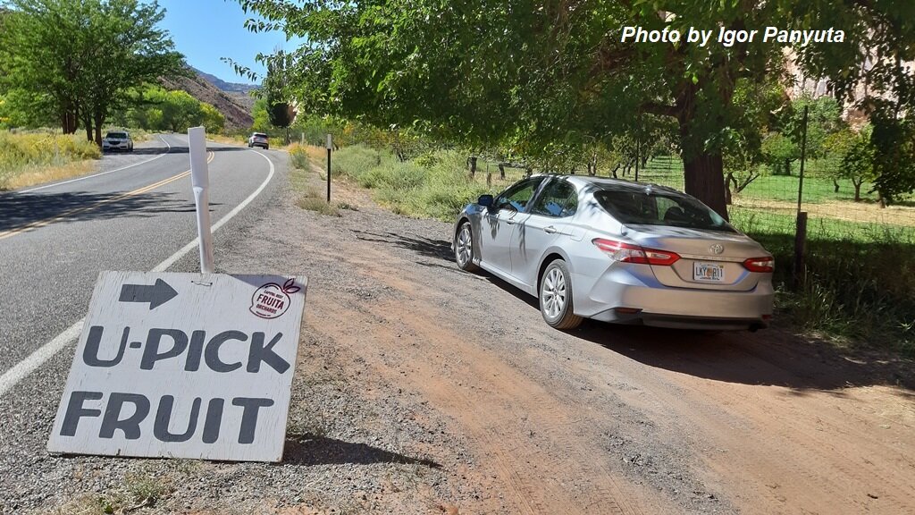 Подписывайтесь на канал! Так вы поддержите его и не пропустите новые статьи! Комментарии приветствуются!