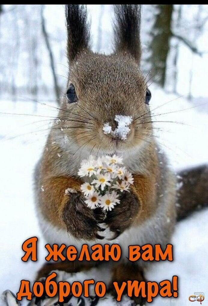 из интернета