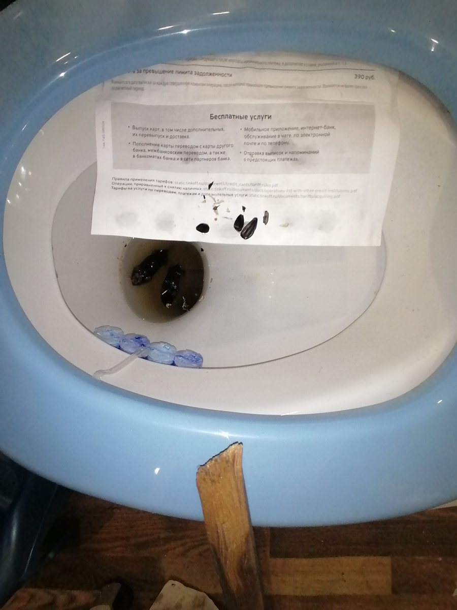 Личное фото.